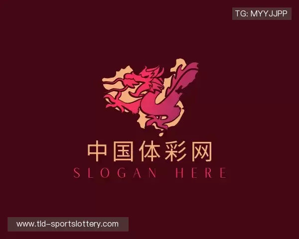 关于中国体彩